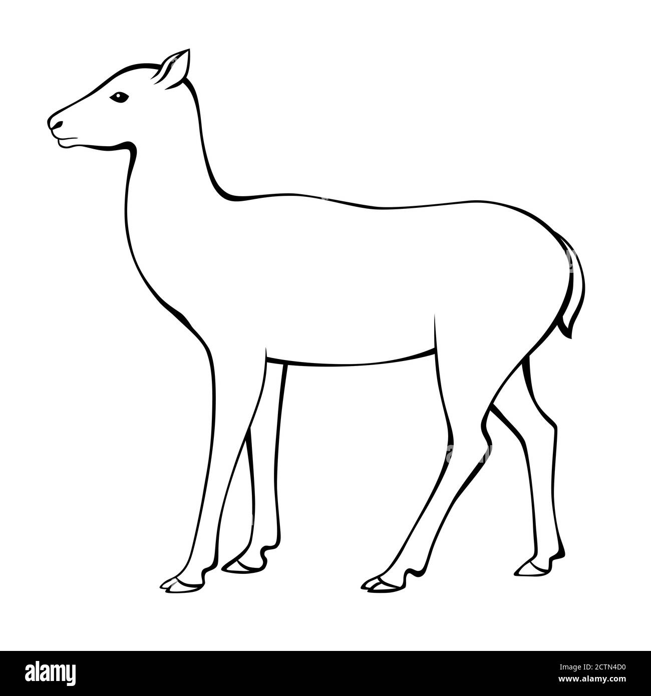 Hirsch Tier schwarz weiß isoliert Illustration Vektor Stock Vektor