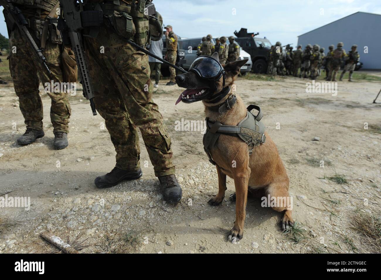 Yavoriv, Ukraine, 24.09.2020. Rapid Trident - 2020 militärische Übungen auf dem Javoriv Trainingsgelände, in der Nähe der westukrainischen Stadt Lwiw, Ukraine, 24. September 2020. Rund 4,000 Soldaten aus neun Ländern, darunter USA, Deutschland, Polen, Großbritannien, Rumänien, Kanada, Dänemark, Litauen und der Ukraine nehmen an der gemeinsamen ukrainisch-amerikanischen Kommando-und Stabübung Rapid Trident - 2020 Ausbildung. Das Ausbildungsprogramm ist Teil einer langfristigen Strategie zur Verbesserung des ukrainischen Verteidigungspotenzials und zur Steigerung der Professionalität der ukrainischen Streitkräfte. Stockfoto