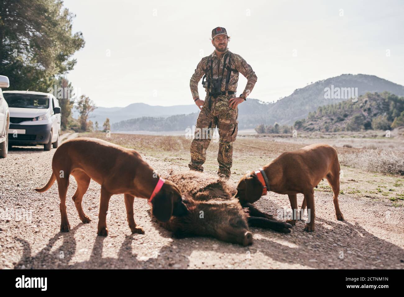 Glücklich stolzer Mann Jäger in Camouflage Outfit schleppen wild getötet Wildschwein nach der Jagd in Richtung Auto Stockfoto