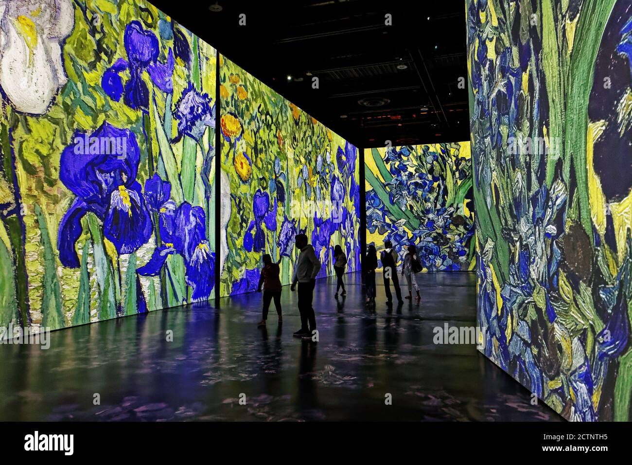 Menschen bei der Immersive Ausstellung Imagine Van Gogh in Quebec City, Kanada Stockfoto