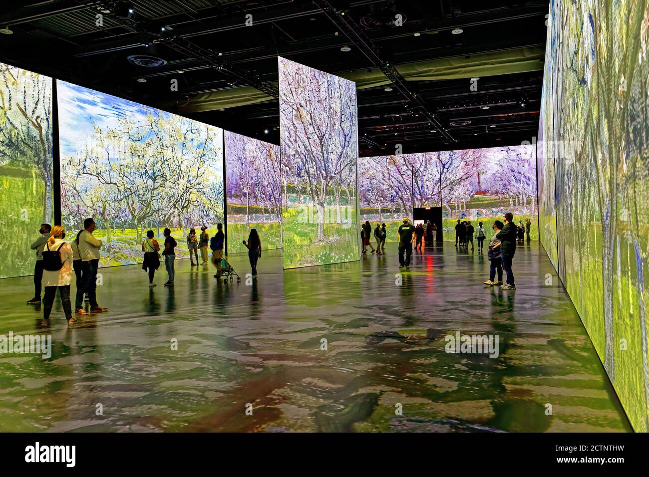Menschen bei der Immersive Ausstellung Imagine Van Gogh in Quebec City, Kanada Stockfoto