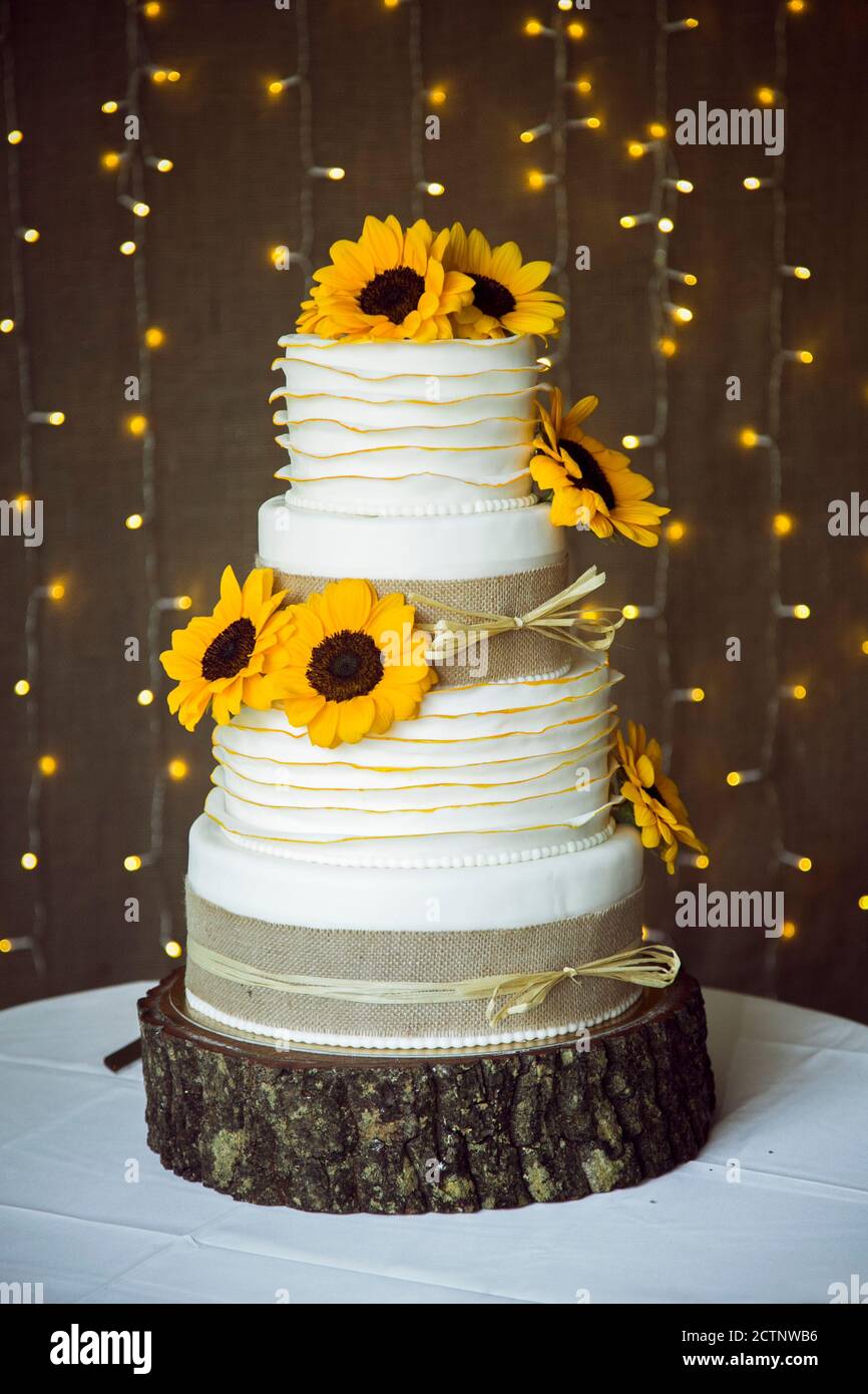 Süße und romantische Sonnenblume Kuchen Design für Hochzeitsfeier Stockfoto