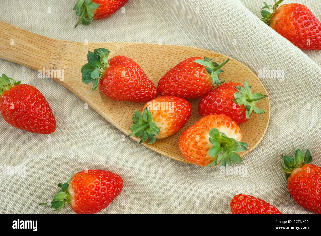 Bio-Erdbeere in einem Holzlöffel. Nahaufnahme. Stockfoto