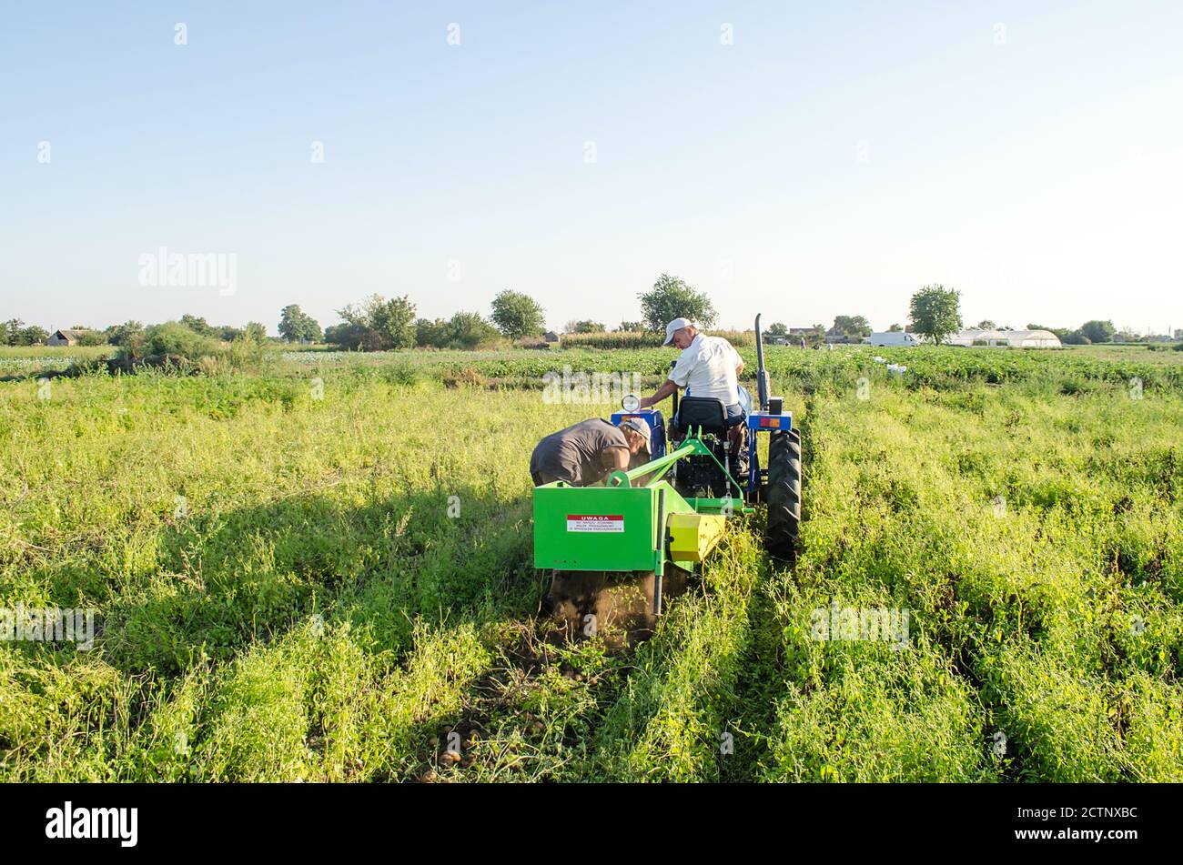 CHERSON OBLAST, UKRAINE - 14. September 2020: Die Landarbeiter auf einem Traktor graben Kartoffeln aus. Landwirtschaft und Landwirtschaft. Kartoffeln in der plantati ernten Stockfoto
