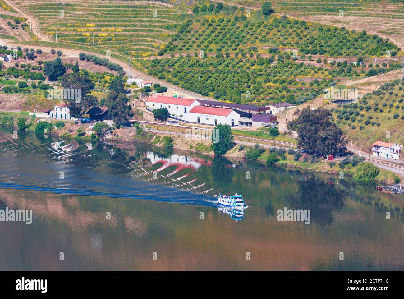 Portugal. Weinberge entlang des Douro Flusses zwischen Paso da Regua und Pinhao am Viseu Distrikt oder südlichen Ufer des Flusses. Ausflugsboot auf der riv Stockfoto