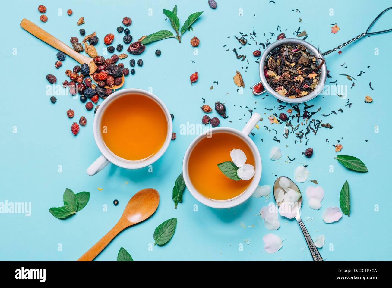 Kreativ arrangierte Tassen mit Tee auf einem klaren blauen Hintergrund. Isolierte Zusammensetzung mit Blütenblättern, grünen und getrockneten Blättern, Beeren. Stockfoto