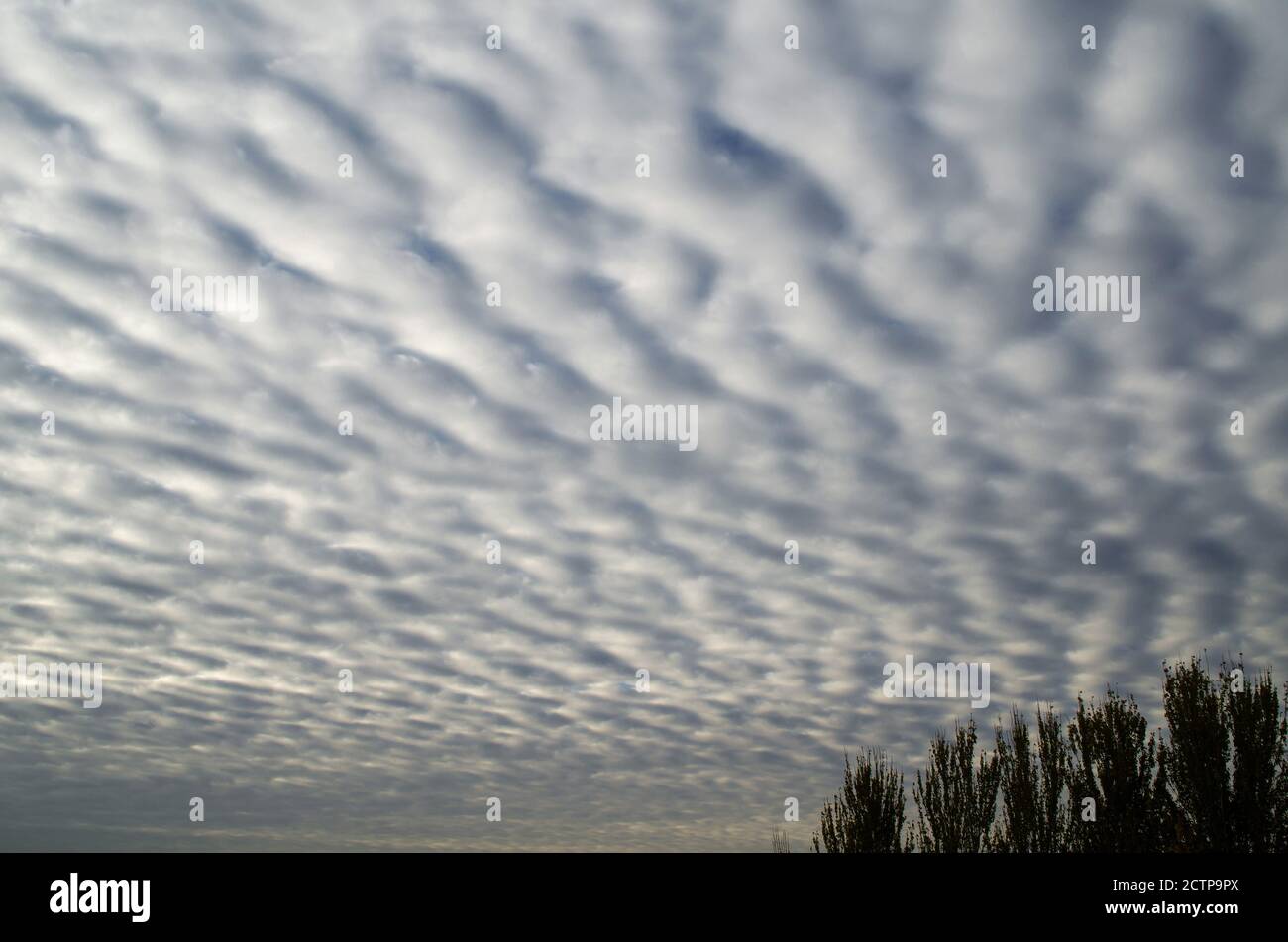 Der Himmel ist mit üppigen Wolken, Hintergrund und Textur bedeckt Stockfoto