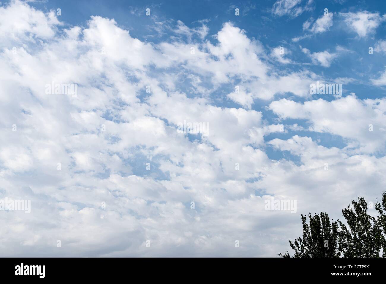 Weiße flauschige Wolken in einem blauen Himmel, Hintergrund und Muster Stockfoto