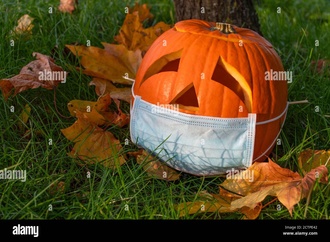 Geschnitzter Halloween Kürbis mit traurigen Augen Maske auf dem Gras mit Blättern, keine Party während Covid oder Coronavirus Ausbruch, Veranstaltungen und Partys absagen Stockfoto