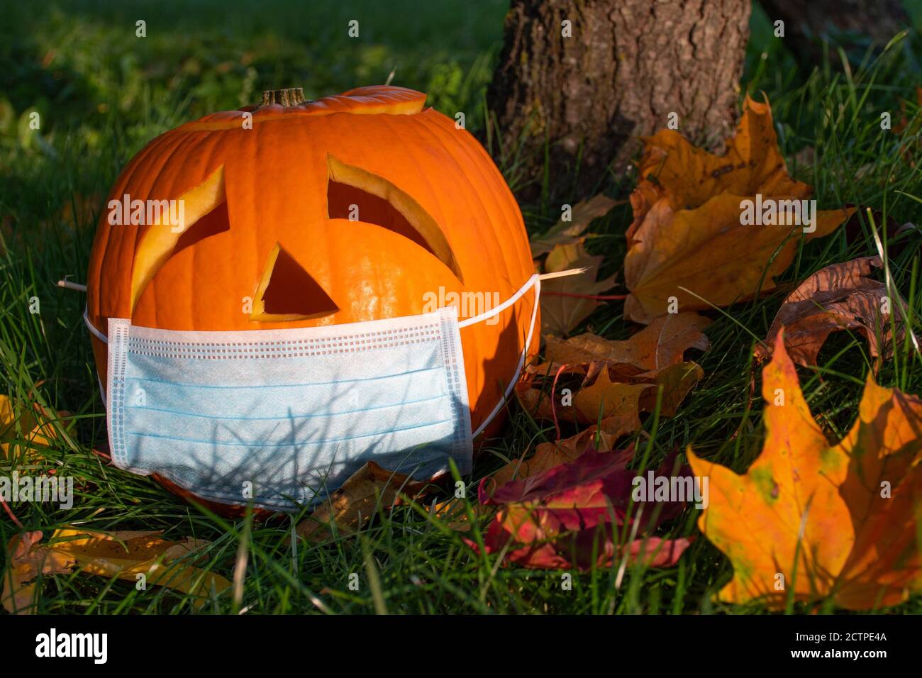 Geschnitzter Halloween Kürbis mit traurigen Augen Maske auf dem Gras mit Blättern, keine Party während Covid oder Coronavirus Ausbruch, Veranstaltungen und Partys absagen Stockfoto