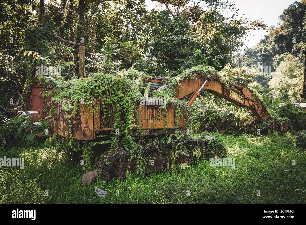 Inanam, Sabah, Malaysia: Mutter Natur schlägt zurück. Eine überwuchert Baumaschine. Stockfoto