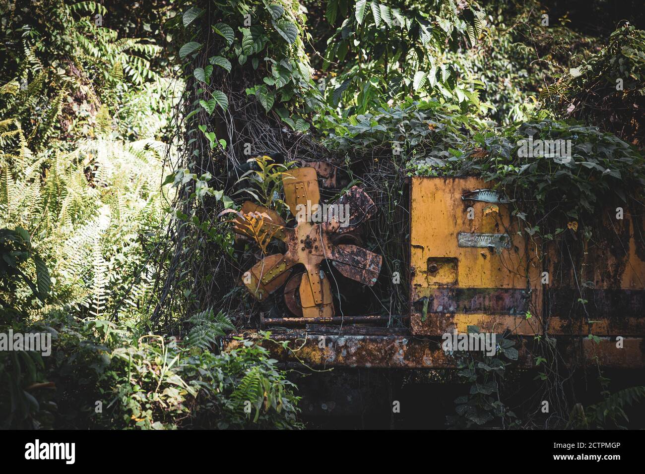 Inanam, Sabah, Malaysia: Mutter Natur schlägt zurück. Eine überwuchert Baumaschine. Stockfoto