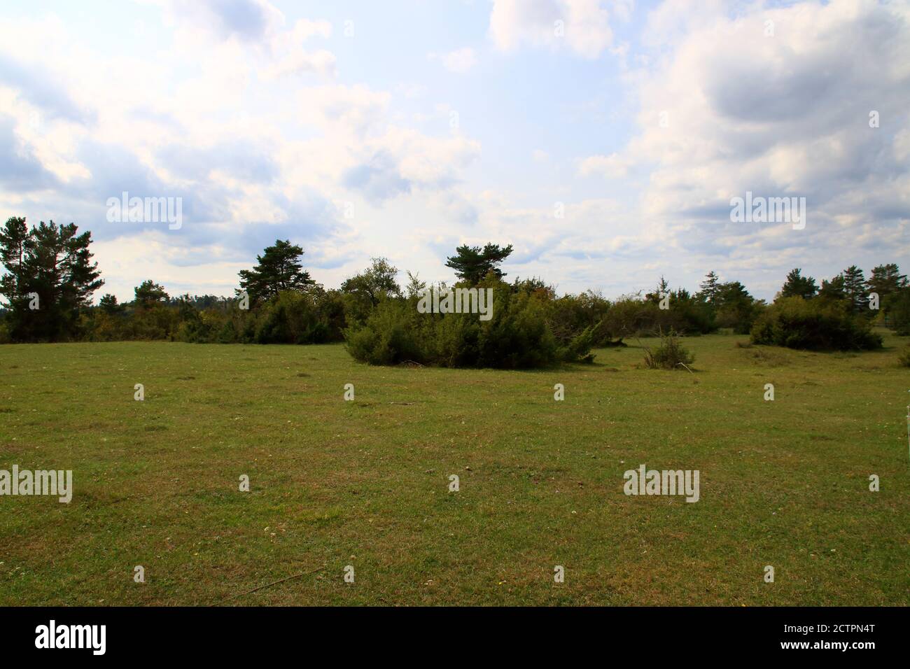 Blick auf das Naturschutzgebiet Büchelberg bei Neuhausen im Enzkreis Stockfoto