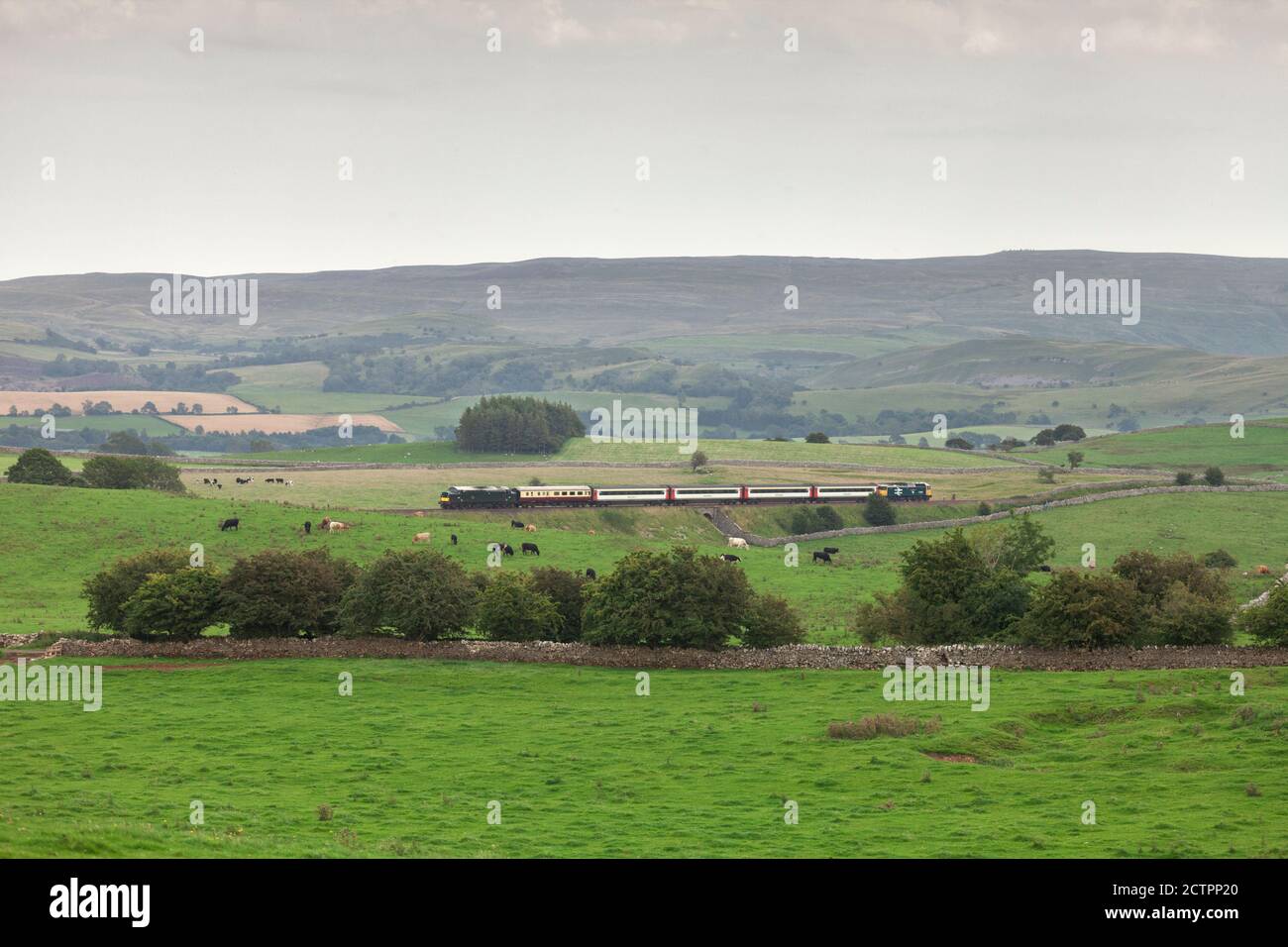 Der 'The Staycation Express' Zug fährt durch Waitby auf der landschaftlich schönen Setzen Sie sich auf Carlisle Eisenbahnlinie gezogen von der Baureihe 37 Lokomotive 37521 Stockfoto