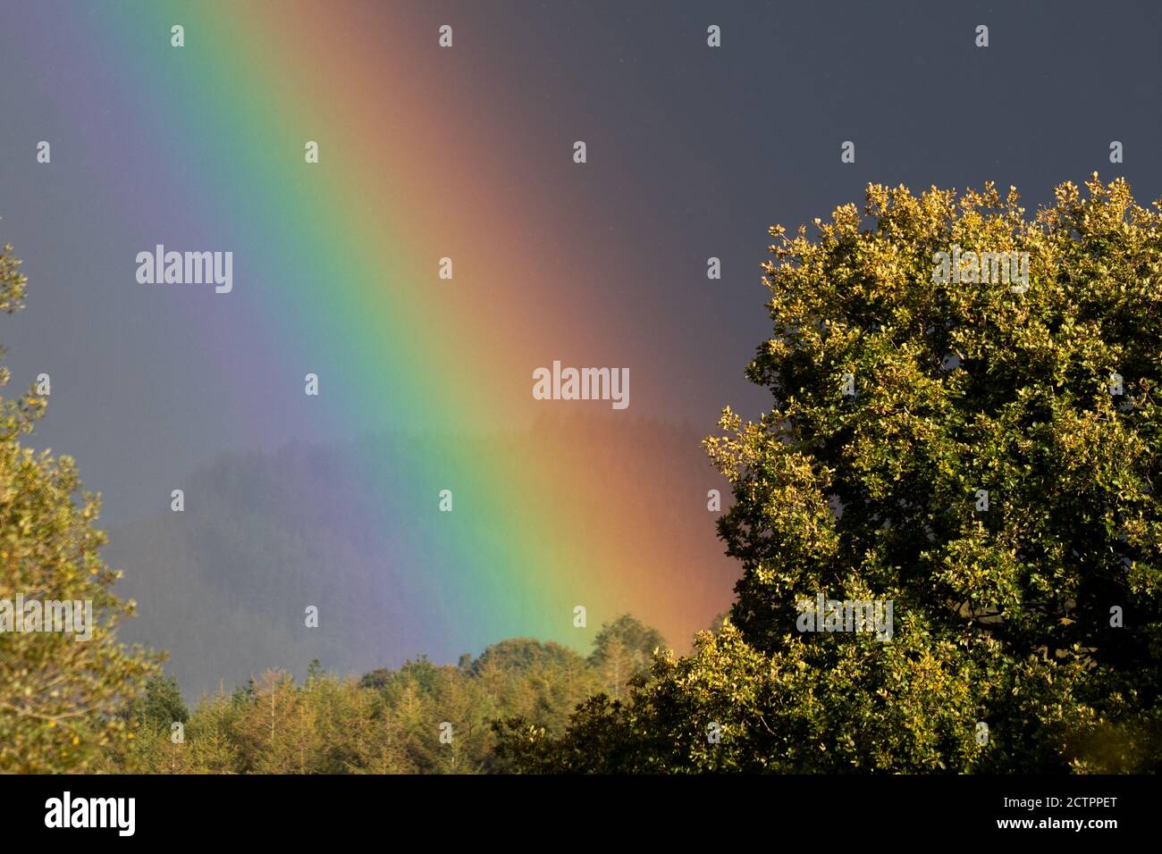 Wetter in Großbritannien: Ein heller Regenbogen über der Landschaft. Stockfoto
