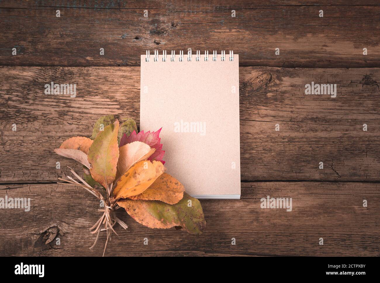 Notizblock und Herbstblätter auf einem natürlichen Holzhintergrund. Stockfoto