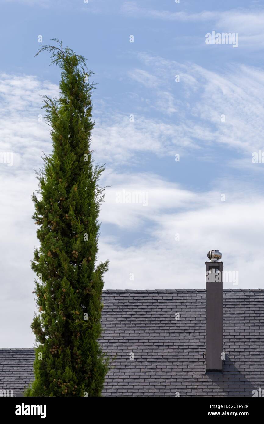 Hoher Kamin auf dem Dach mit Schieferfliesen neben einem Baum Stockfoto