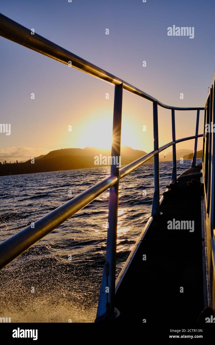 Am frühen Morgen Bootsfahrt in Richtung Osten über Broughton Strait (N Vancouver Island). Silhouettierte Seevögel fliegen über das Meer, während Sonnenstrahlen Sterne bilden Stockfoto
