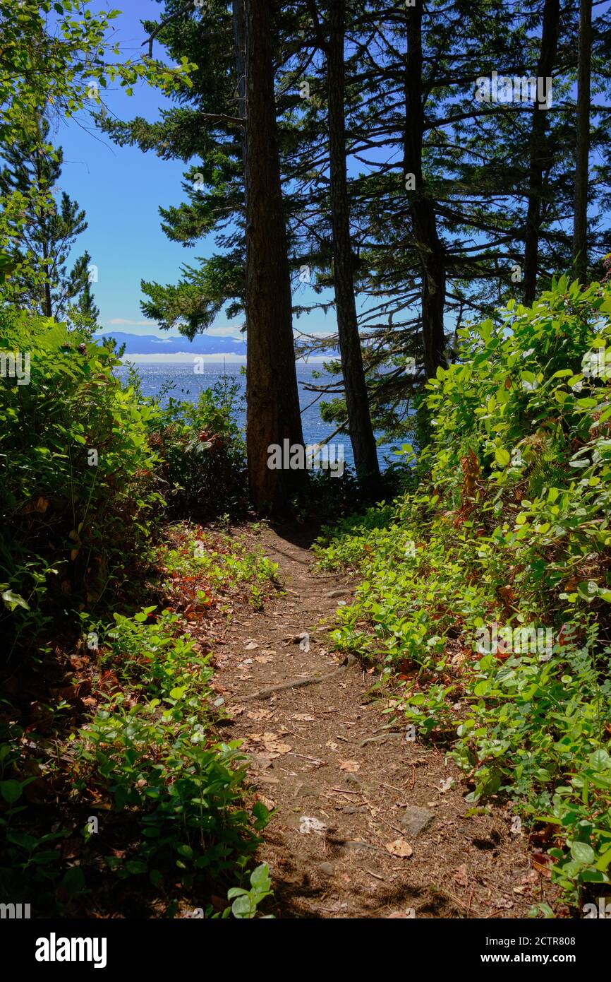Bewaldeter Pfad um Iron Mine Bay im East Sooke Regional Der Park bietet einen Blick über die Juan de Fuca Straße Zu den Olympischen Bergen des Staates Washington Stockfoto
