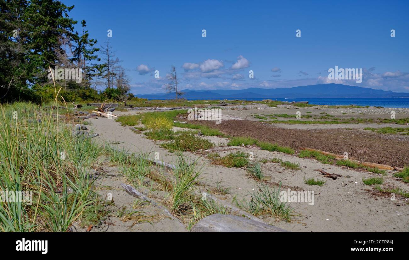 Mit Waldkulisse ist das Vorland des Rathtrevor Provincial Park ein besonderer Ort zum Spazieren und Spielen. Über die Georgia Strait sind die Berge auf dem Festland von British Columbia. Stockfoto