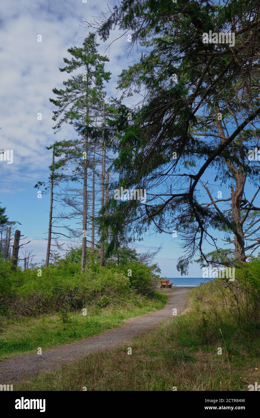 Der Wanderweg führt zur Holzbank am Waldrand im Rathtrevor Provincial Park. Bank bietet einen schönen Ort zum Sitzen, Entspannen und genießen Sie das Meer Stockfoto