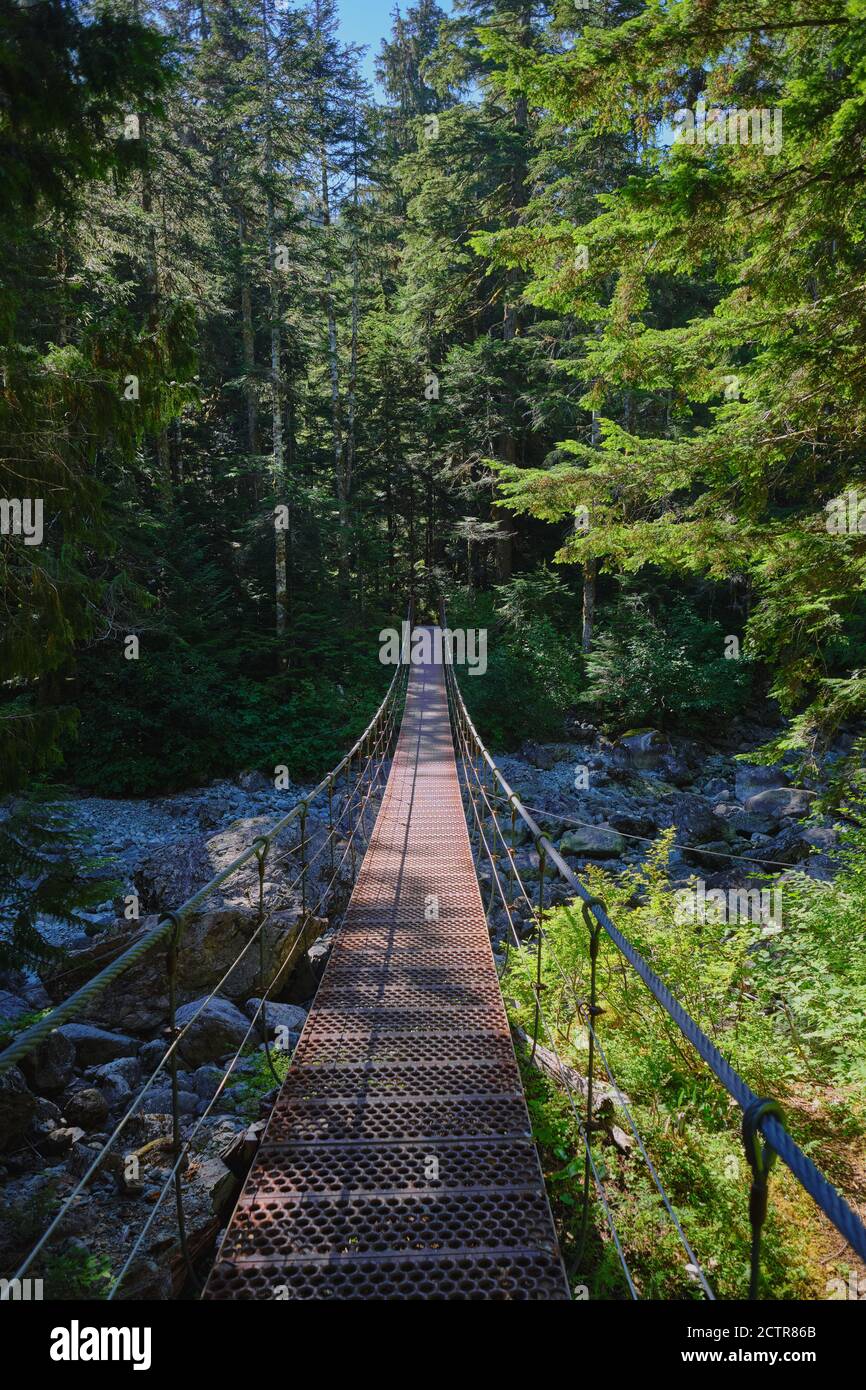 Die Hängebrücke aus Metall bietet Wanderern eine einfache Möglichkeit, einen Fluss in der Nähe des Anfangs des Bedwell Lakes Trail im Strathcona Provincial Park, BC, zu überqueren Stockfoto