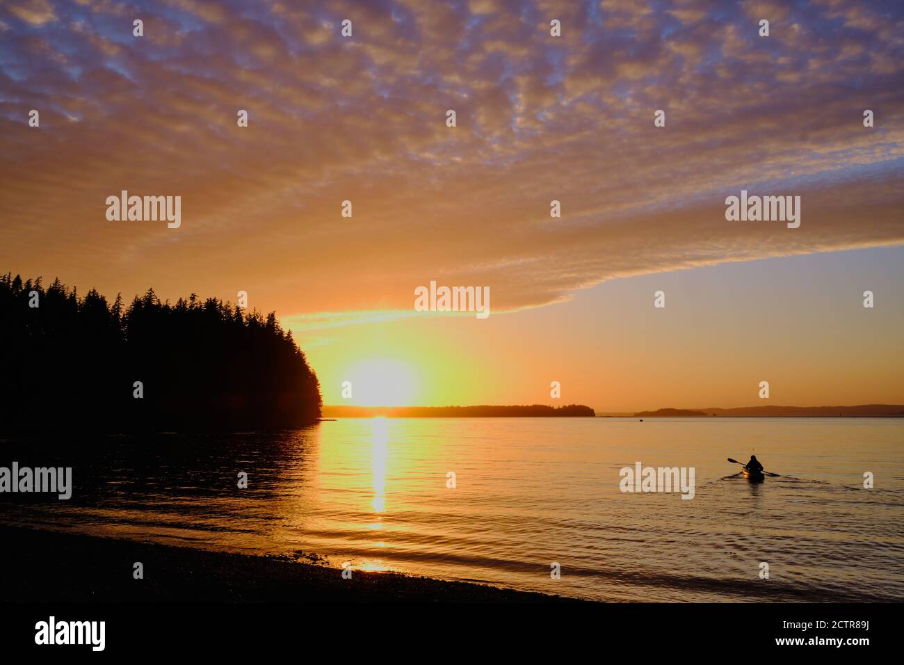 Einzelperson im Kajak paddelt sanft in Richtung goldenes, untergehende Sonne auf ruhigem, rosa und gelb gefärbtem Meer. Alder Bay, im Norden von Vancouver Island, BC Stockfoto