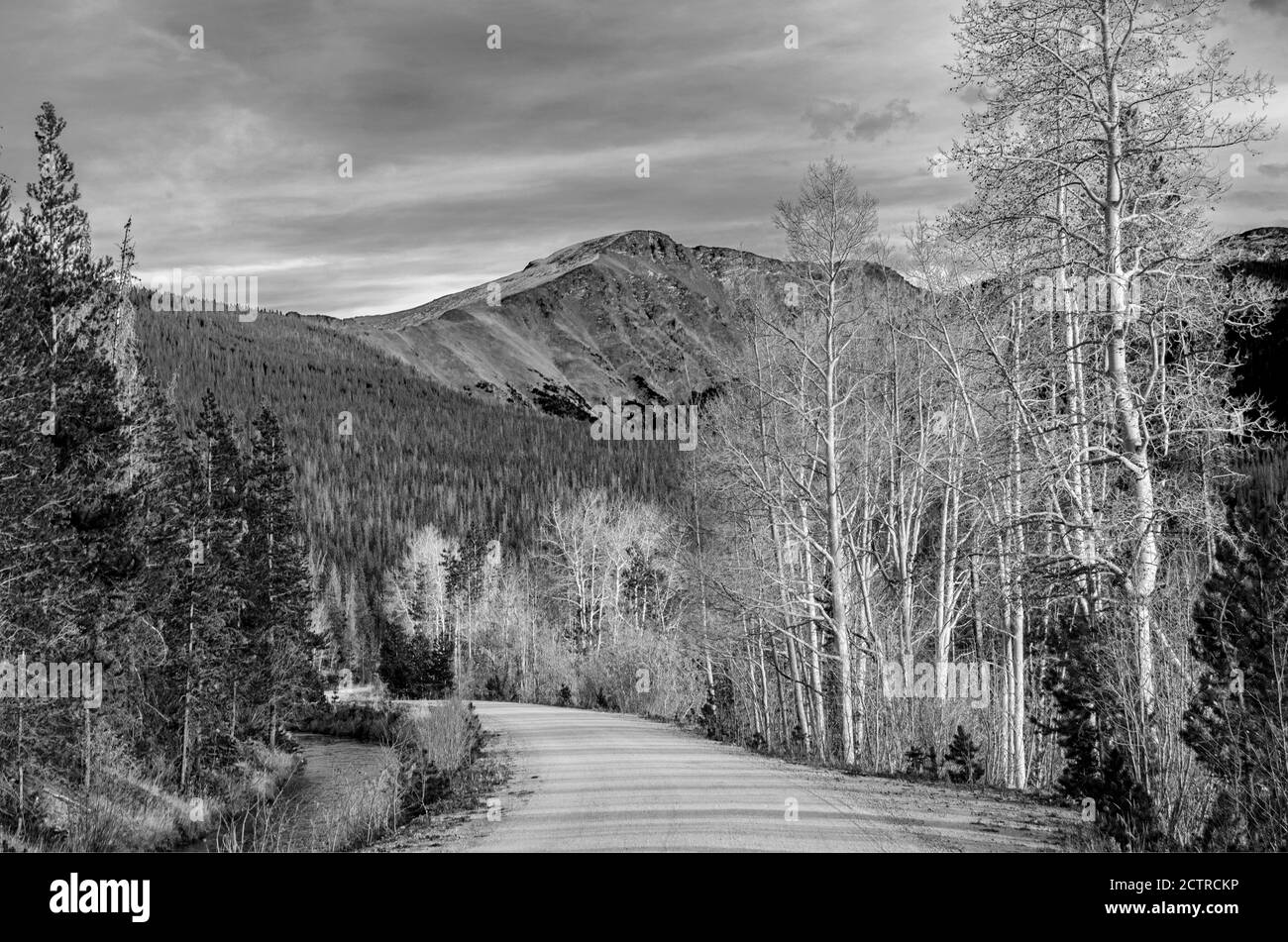 Straße durch die Aspens in den Colorado Rocky Mountains Stockfoto