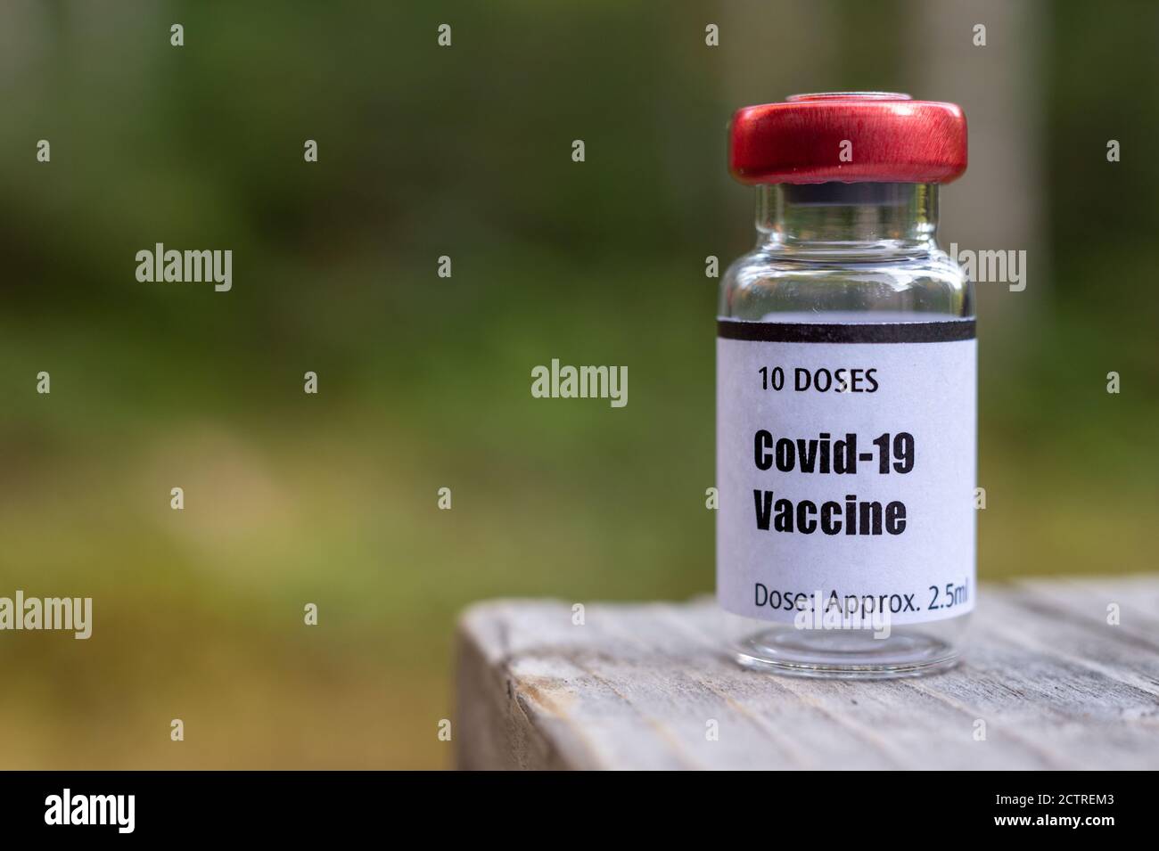 Fläschchen mit Covid-19-Coronavirus-Impfstoff über dem natürlichen Hintergrund Stockfoto