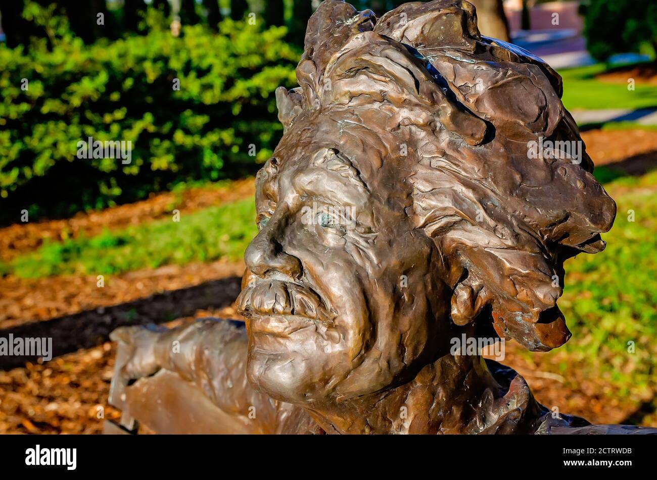 Die Einstein-Bank, eine Bronzestatue von Albert Einstein, ist an der University of South Alabama, 22. August 2020, in Mobile, Alabama, abgebildet. Stockfoto