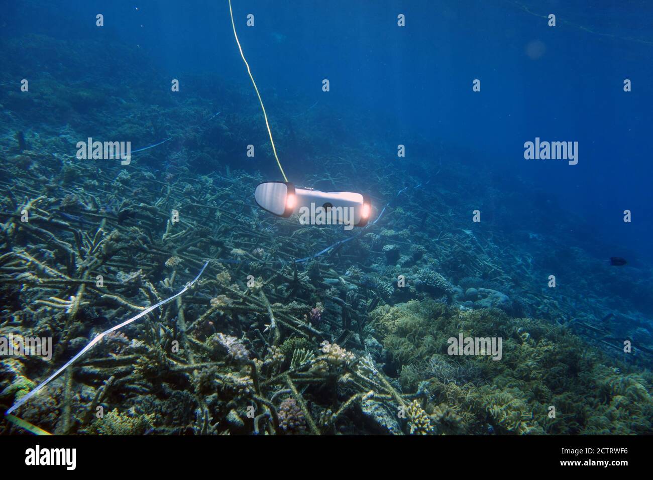 Unterwasserdrohnen zur Überwachung von Korallenriffen, Great Barrier Reef, Queensland, Australien. Keine PR Stockfoto