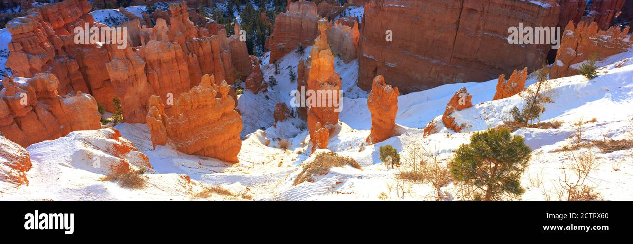 Panoramablick auf den Bryce Canyon Nationalpark im Winter. Eine der besten Zeiten, um den Park zu besuchen, um seine Schönheit und Einsamkeit zu genießen. Stockfoto