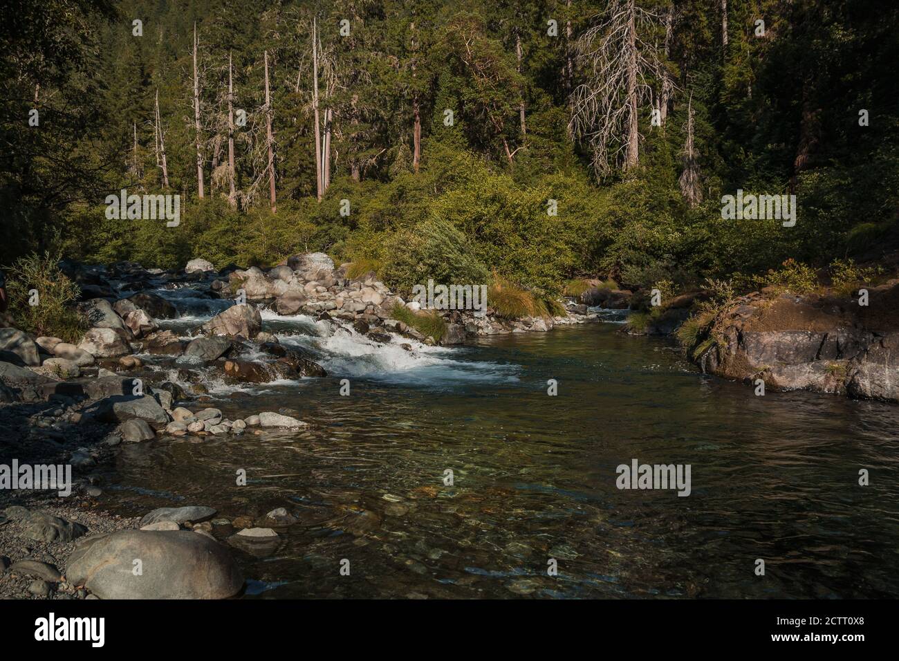 Hochgebirgsflußbach im Sommer mit weißem Wasser klein Wellen Felsen und Bäume in einem Waldgebiet Landschaft, die Ist ruhig friedlich idyllisch Abenteuer Stockfoto