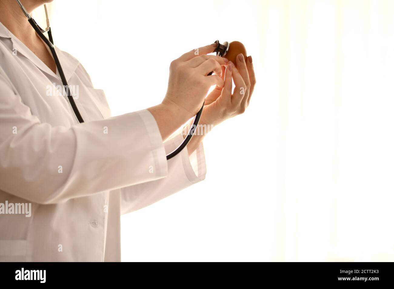 Doktor eine Frau in einer weißen Robe mit einem Stethoskop hört sorgfältig auf den Herzschlag eines Hühnereis durch die Schale. Stockfoto