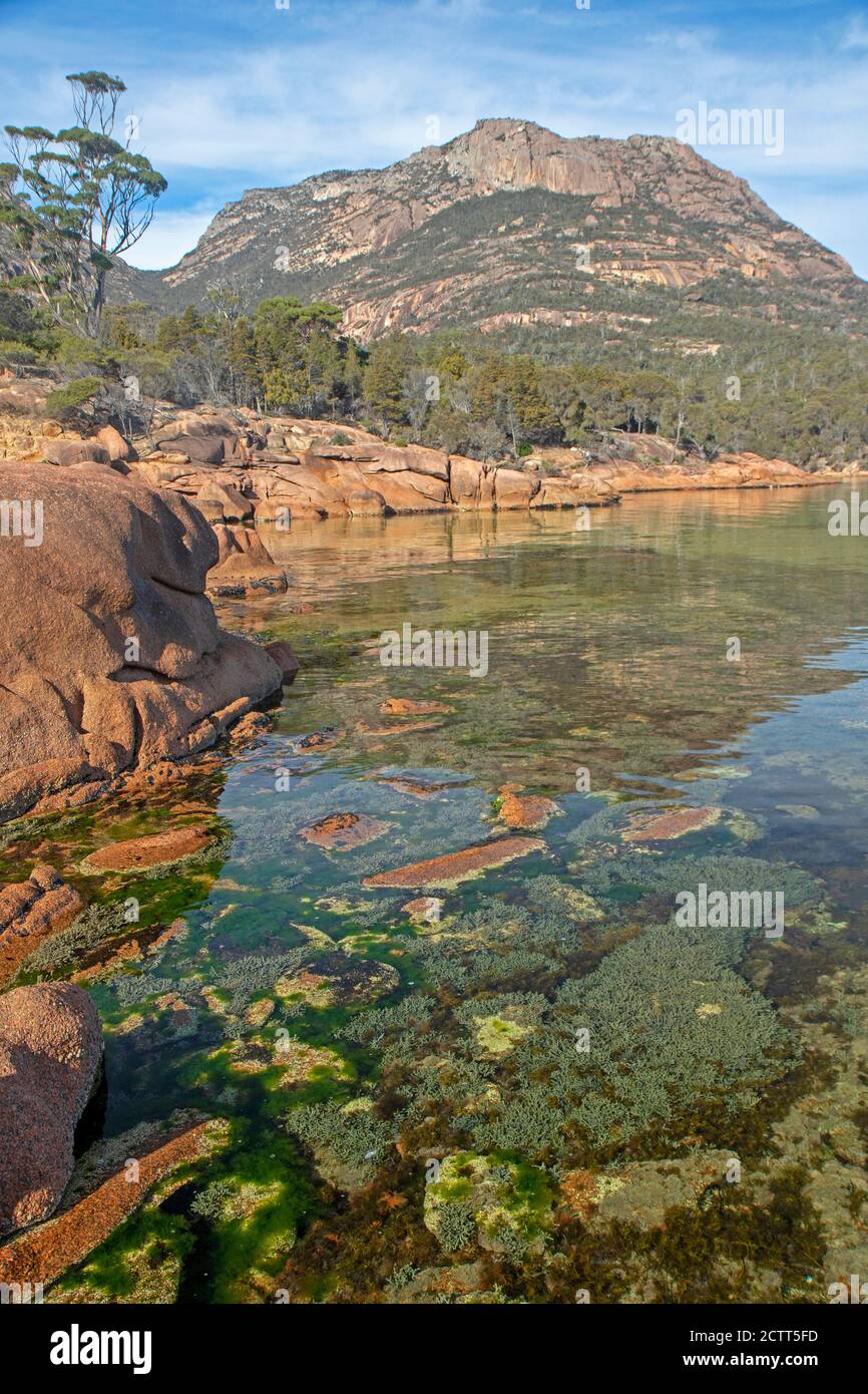 Honeymoon Bay, Freycinet National Park Stockfoto