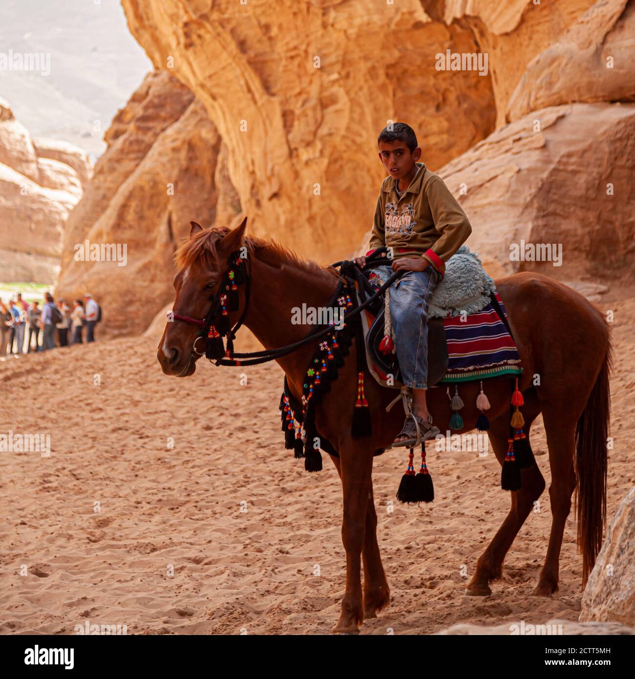 Petra, Jordanien 04/02/2010: Ein beduinenjunge aus der Region trägt Jeans und Sandalen und ist auf einem Pferd mit dekorativem Mundgebiss. Sie ruhen im Schatten einer Klippe in Stockfoto