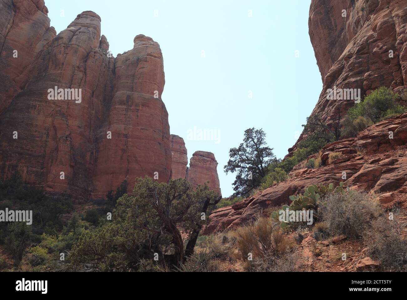 Um Sedona in Arizona Stockfoto