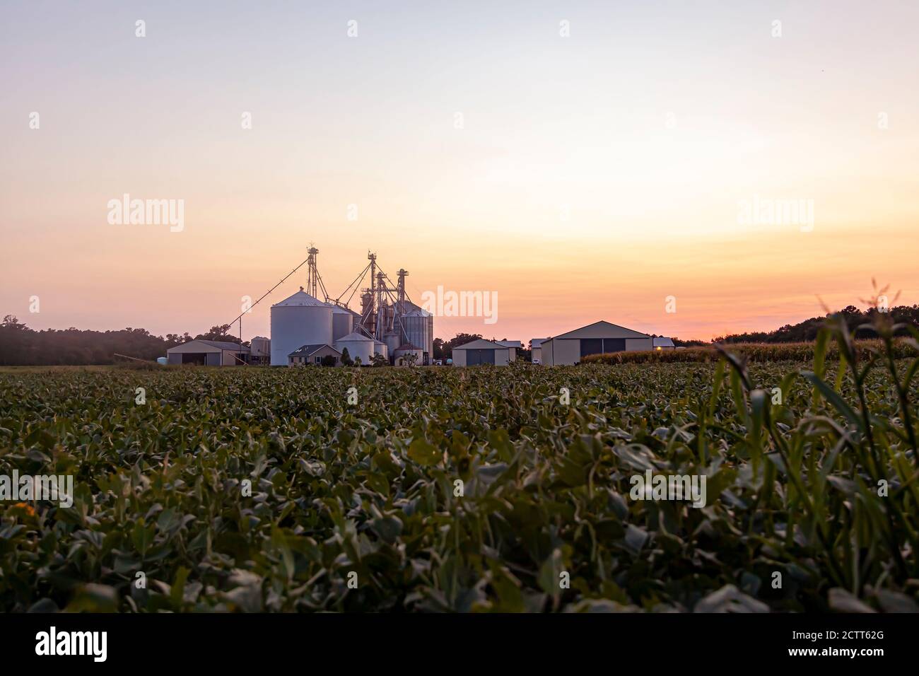 Blick auf die modernen Getreidespeicher und Silos eines großen Industriebetriebs, der sich auf die Produktion von Weizen, Mais und Sojabohnen im großen Stil spezialisiert hat Stockfoto