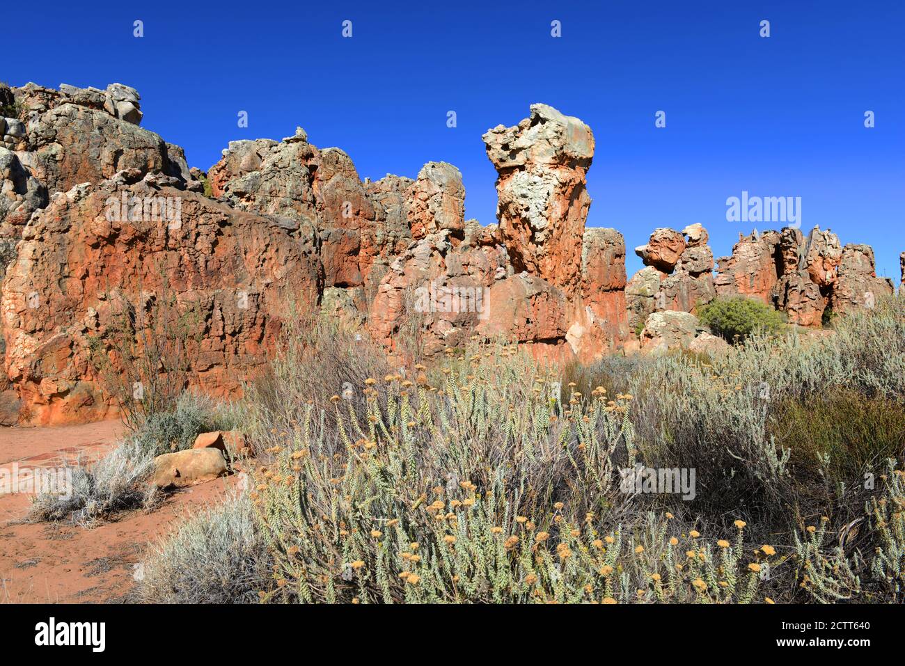 Kagga Kamma Privatreservat im Westkap in Südafrika. Stockfoto