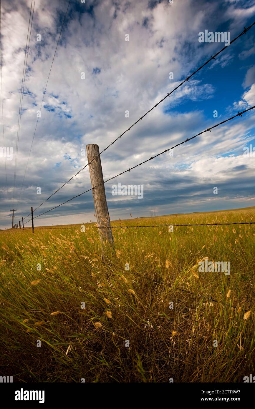 USA, South Dakota, Stacheldrahtzaun und Präriegras im Feld Stockfoto
