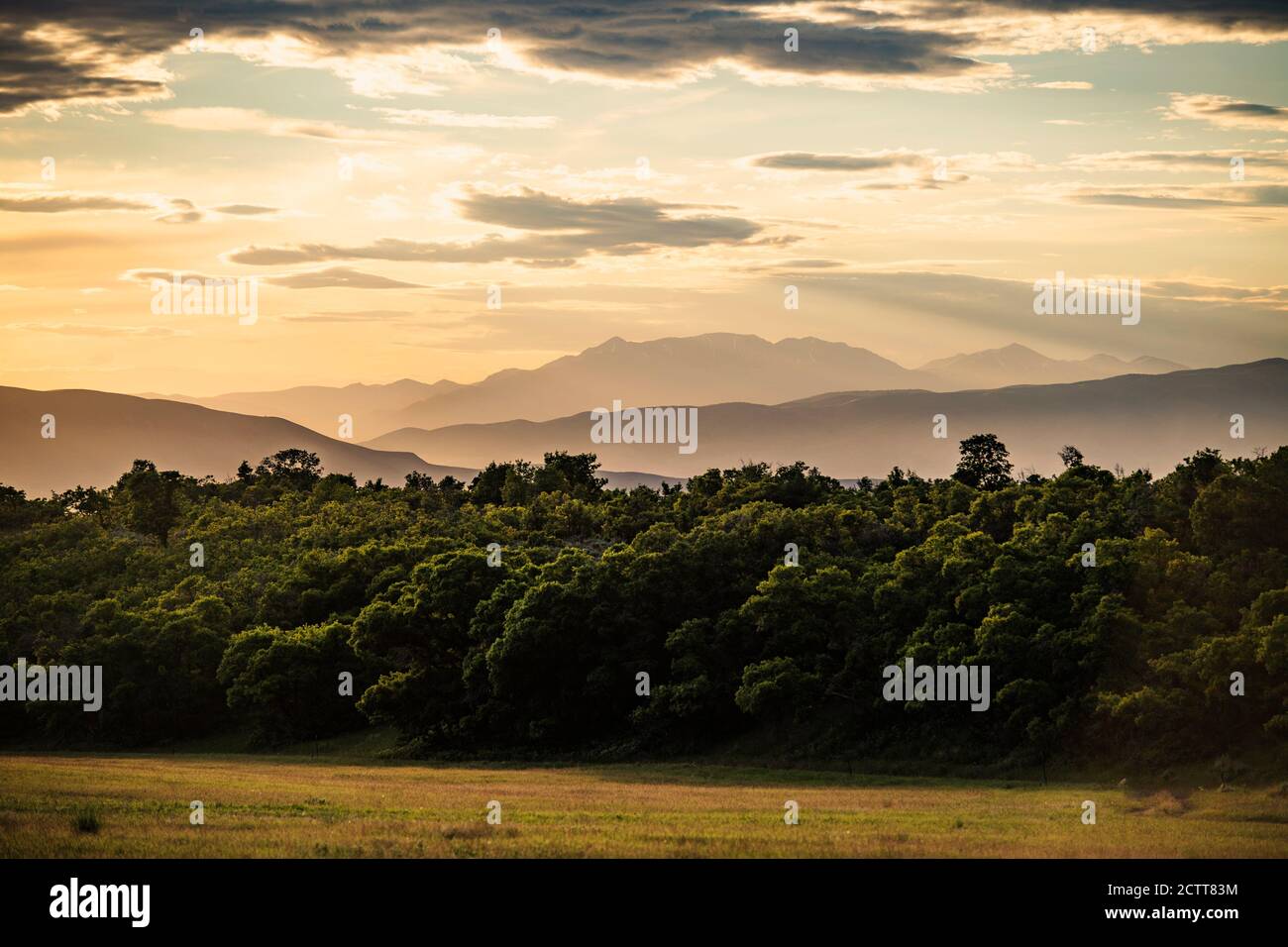 USA, Utah, Salem, Landschaft mit Wald und Bergen in der Dämmerung Stockfoto