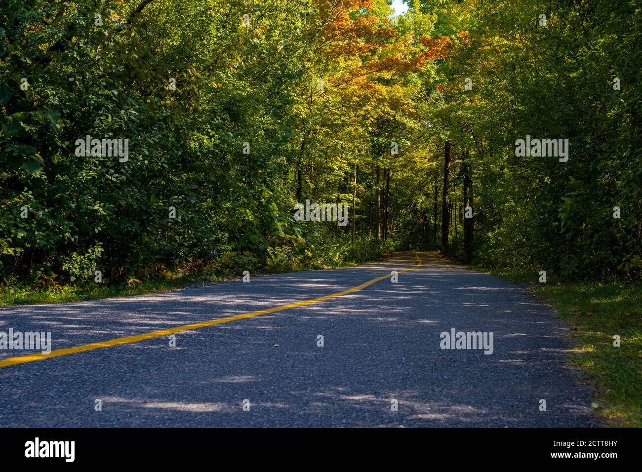 Ein asphaltierter Radweg mit einer gelb gestrichenen Linie führt durch ein bewaldetes Gebiet. Im Frühherbst säumen Blätter von grünem, gelbem Zauberstab orange den Weg. Stockfoto
