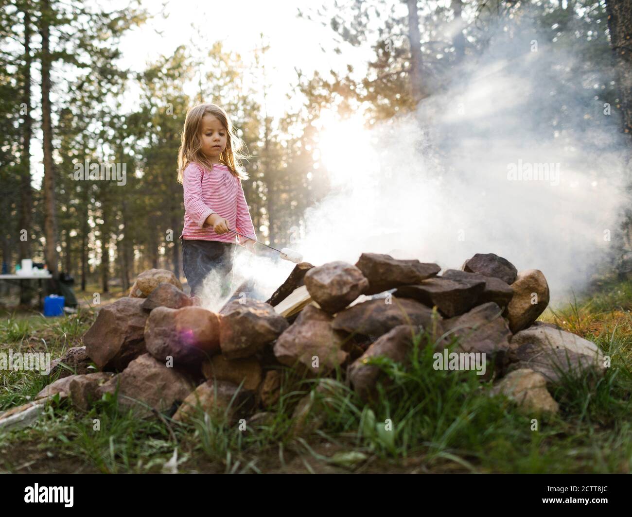 Mädchen (4-5) rösten Marshmallow über Lagerfeuer, Wasatch Cache National Forest Stockfoto