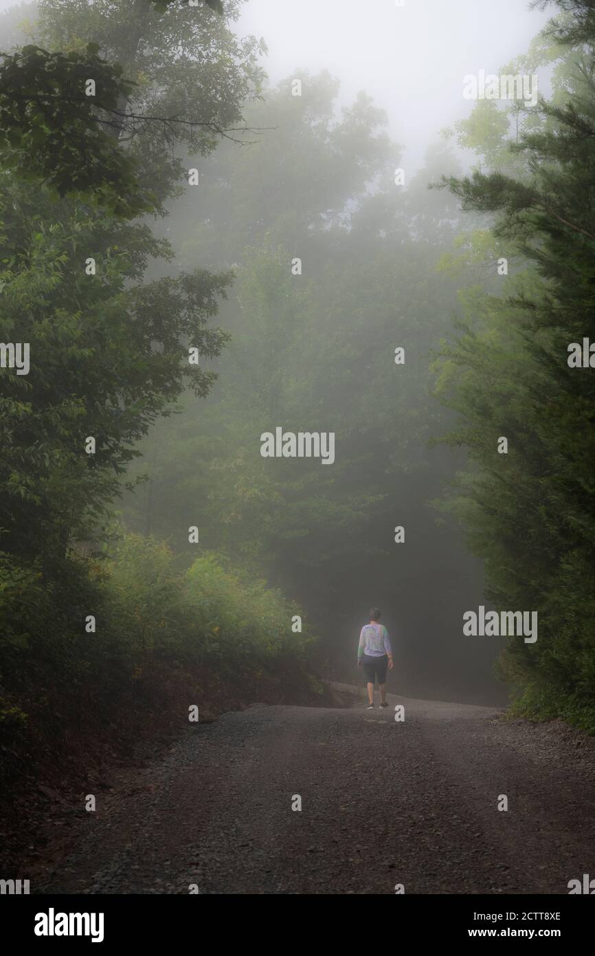 EINE FRAU AUF DER LANDSTRASSE, BLUE RIDGE MOUNTAINS, GA, USA Stockfoto