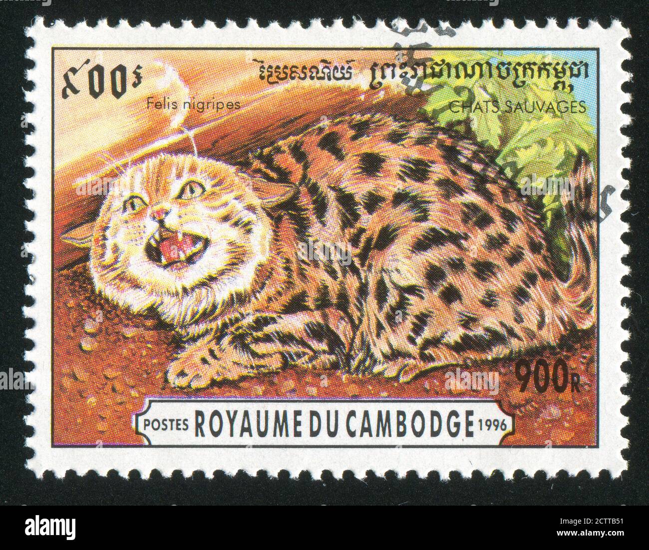 KAMBODSCHA UM 1996: Briefmarke gedruckt von Kambodscha, zeigt Schwarzfußkatze, um 1996 Stockfoto