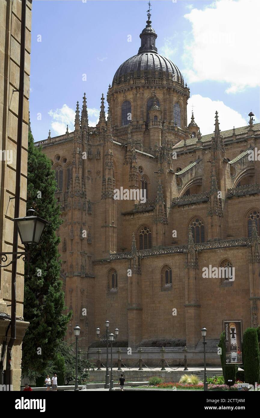 Salamanca, España, Hiszpania, Spanien, Catedral de la Asunción de la