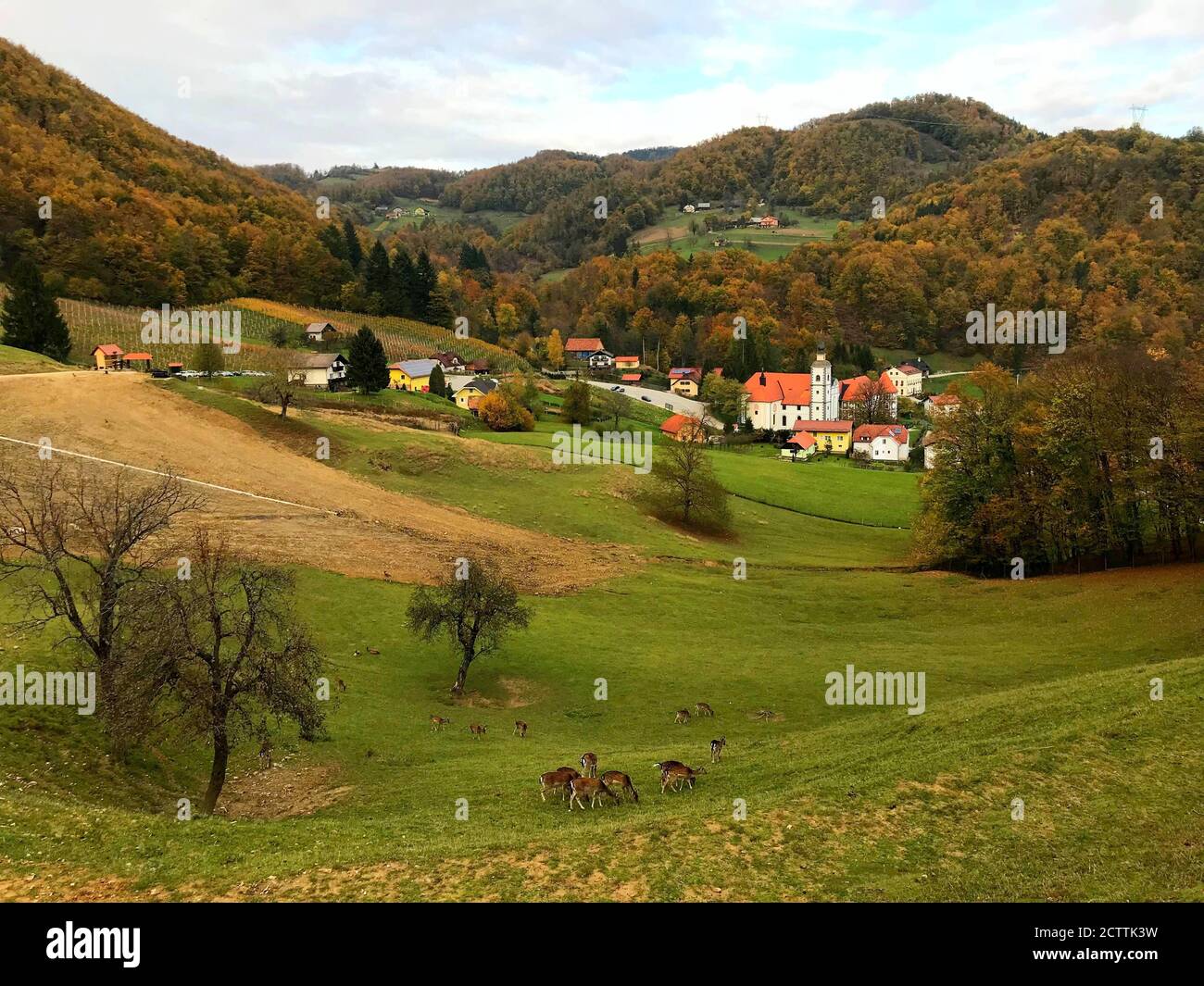 IIdyllische Landschaft in Slowenien. Kleines gemütliches Dorf. Malerische Hügel. Dichter Herbstwald. Hirsch-Herde weidet auf grünem Rasen. Wunderschöne Natur. Stockfoto