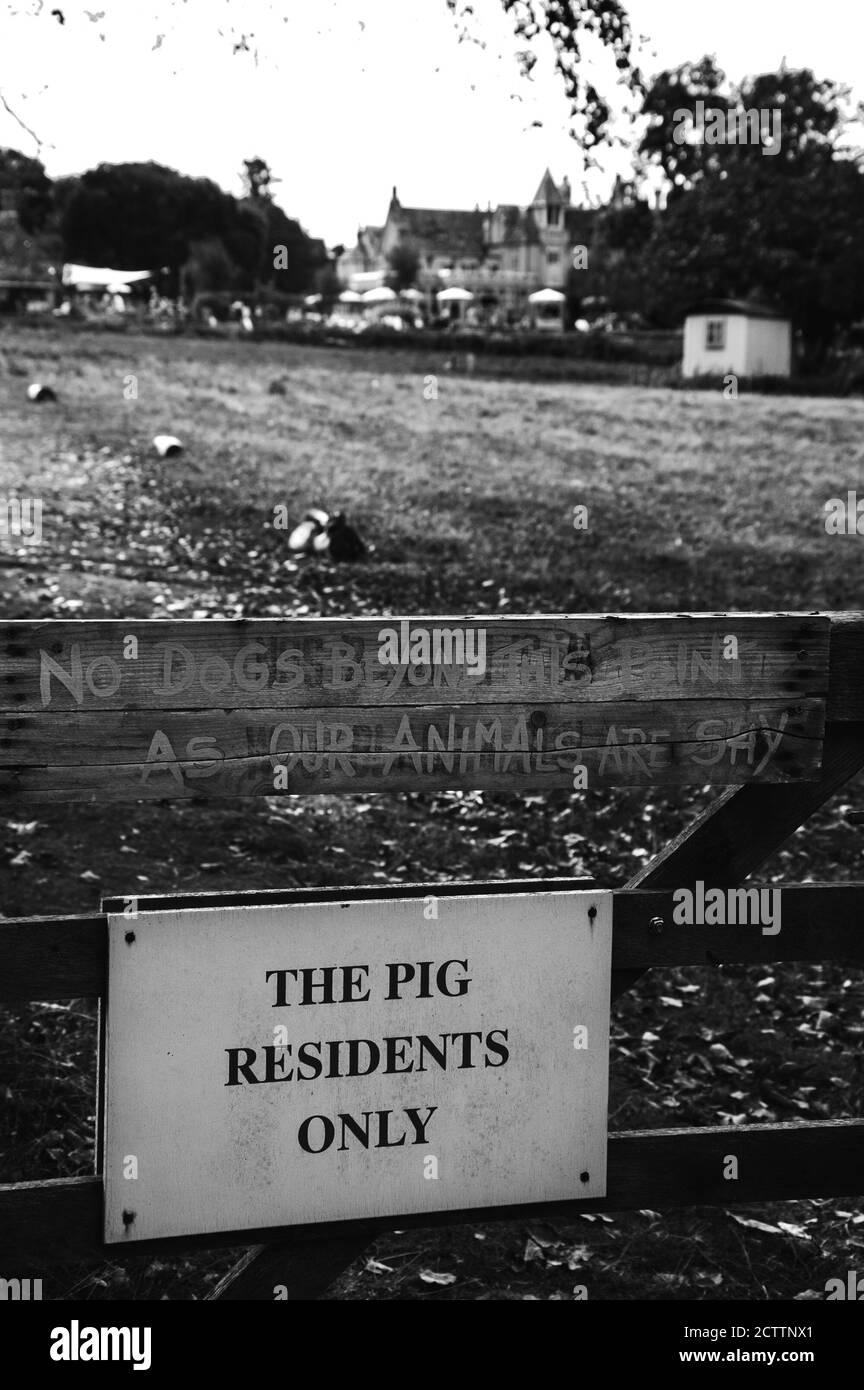 Zwei Nachrichten auf dem Zaun von Schwein am Strand Hotel 'The Pig Residents Only' und 'No Dogs Beyond This Zeigen, Wie Unsere Tiere Schüchtern Sind' Stockfoto