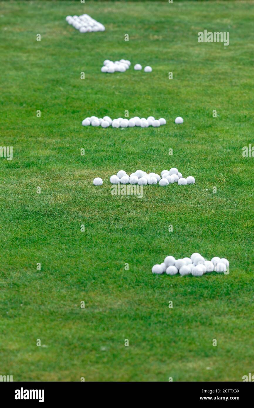 Golfbälle auf dem grünen Gras. Das Konzept des Spiels Golf Stockfoto