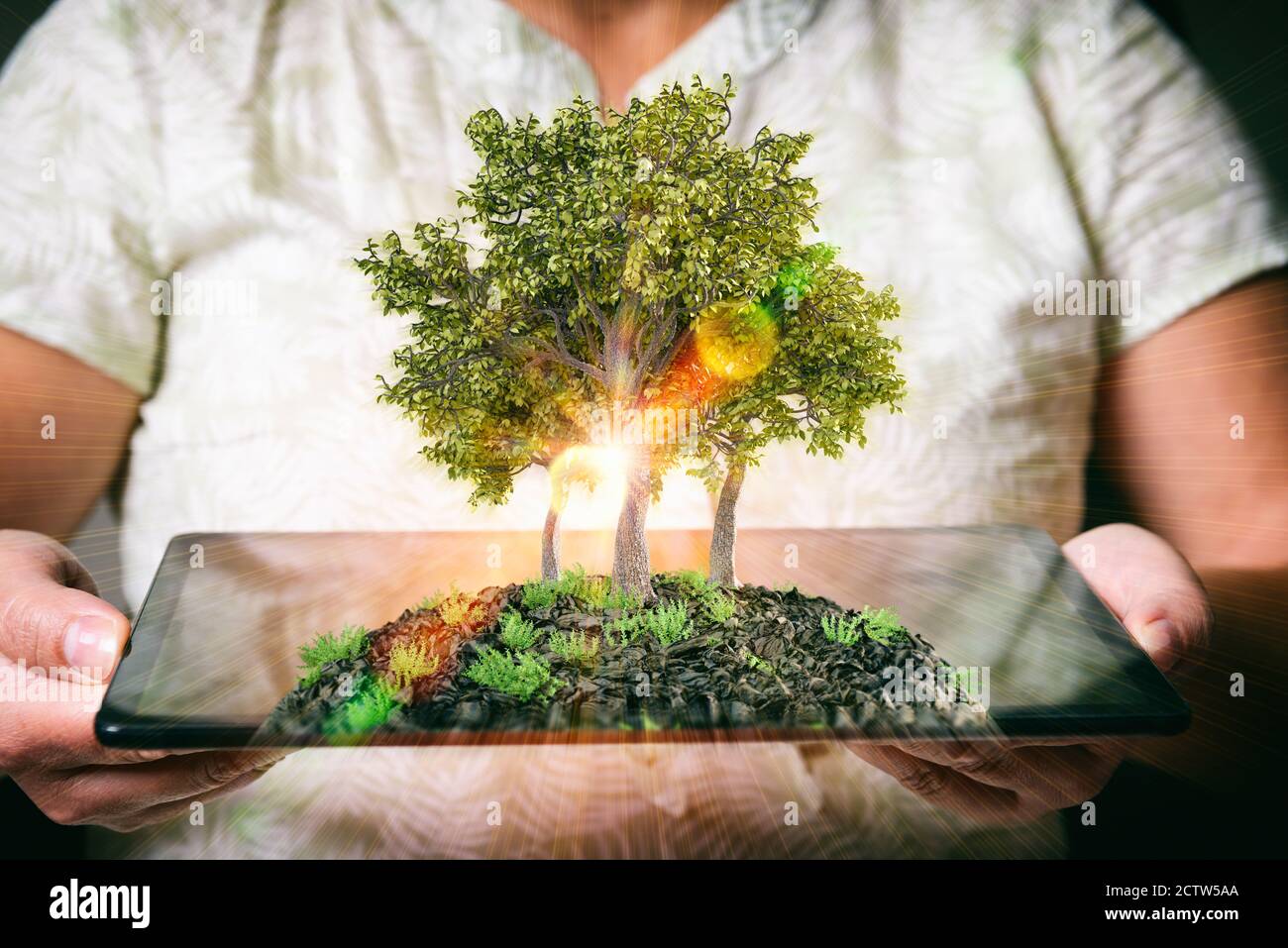 Frauen Hände halten eine Tablette Bäume, natürliche und ökologische Lebensstil Konzept, Gartenarbeit in reiner, gesunder Umwelt Stockfoto